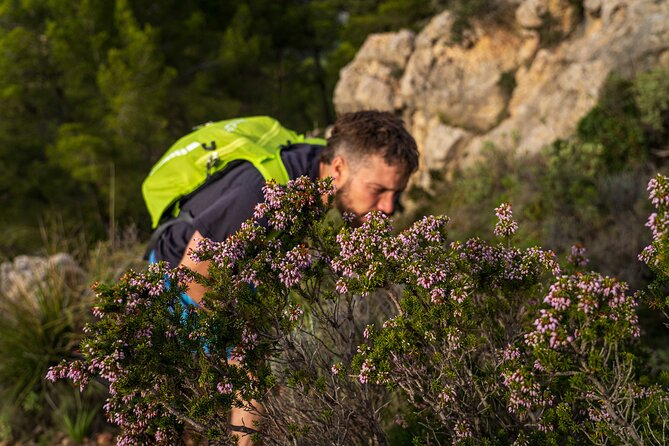 Hiking Tour into the sunset - Port Andratx to Sant Elm - How Challenging Is It Really (Elevation, Distance, and Pace)