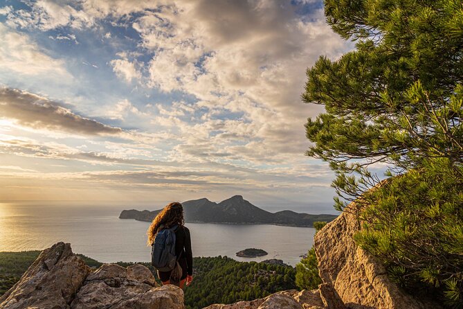 Hiking Tour into the sunset - Port Andratx to Sant Elm - What You’re Paying For: Value at About $95.53