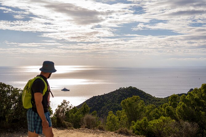 Hiking Tour into the sunset - Port Andratx to Sant Elm - Port d’Andratx: Harbor Views With a Working-Port Soul