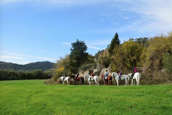 Horseback Riding in Randa Valleys, Mallorca, Spain - Key Highlights You’ll Care About