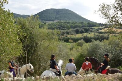 Horseback Riding in Randa Valleys, Mallorca, Spain - The Racecourse Start: A 30-Minute Dressage Lesson That Makes the Ride Easier