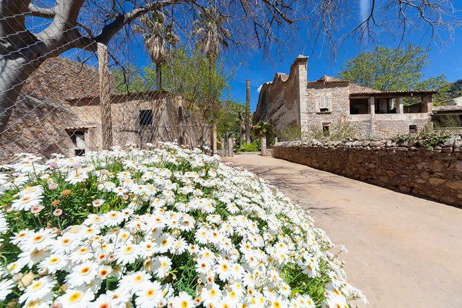 Jardines de Alfabia Tickets - Price and value: what $10.37 buys you