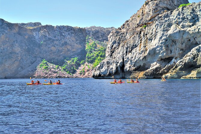 Kayak Secret Beach - Price and value: what your $84.10 is buying (and what it isn’t)