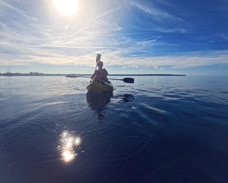 Kayak Tour Bay of Palma - Who This Tour Is Best For (And Who Should Skip It)