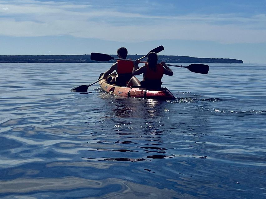Kayak Tour Bay of Palma - Money Value Check: Is $56 Worth It?