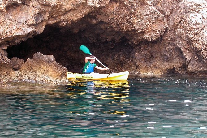 Kayak Tour to Malgrat's Islands from Santa Ponsa - Malgrat’s Islands Natural Reserve: Reefs, Marine Life, and Protected-Water Time