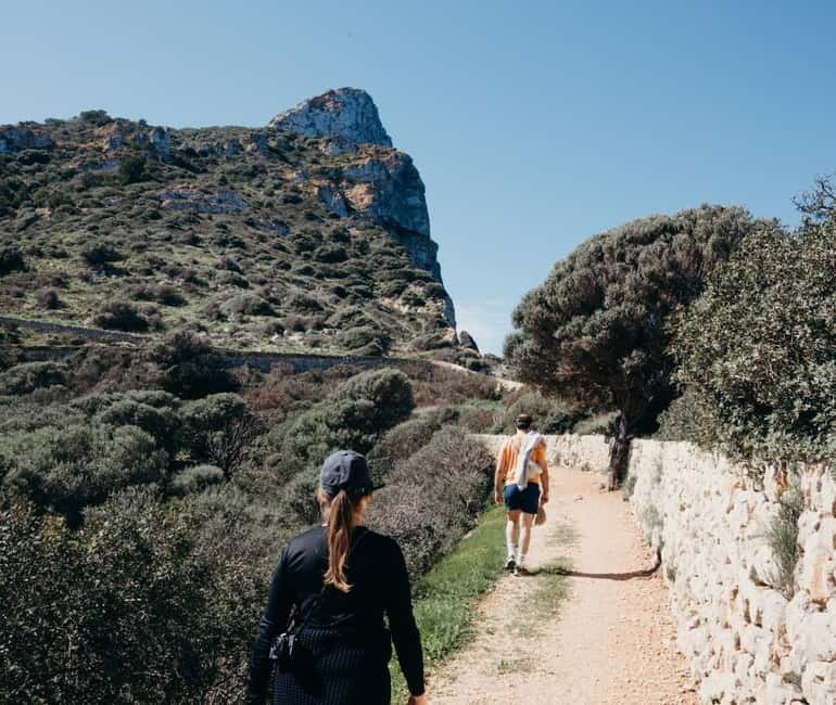 Majorca: Visit the Natural Park of Dragonera Island by boat - Key highlights on Sa Dragonera by boat
