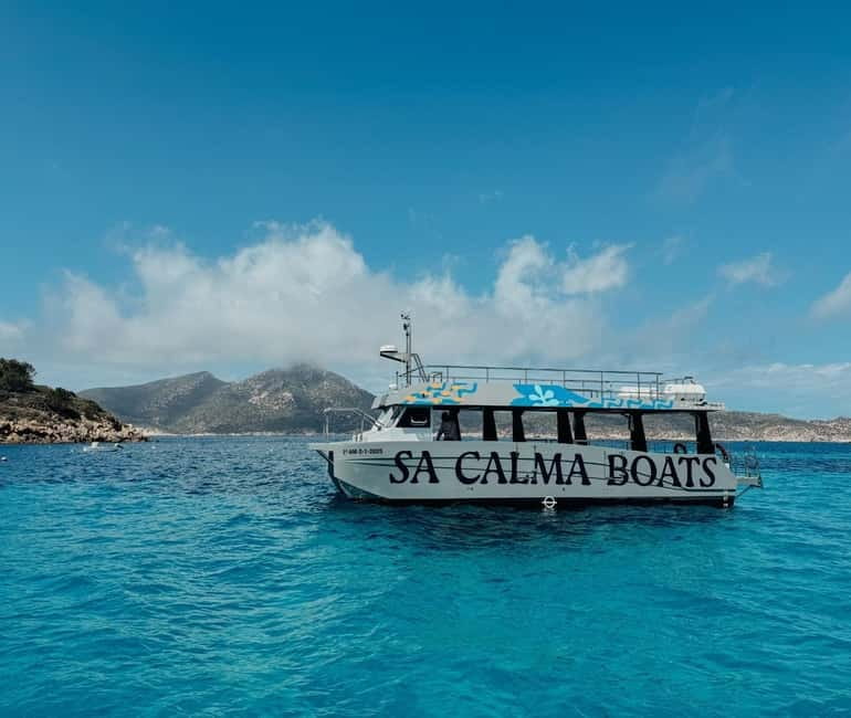 Majorca: Visit the Natural Park of Dragonera Island by boat - Getting there from Sant Elm: the pier details that matter