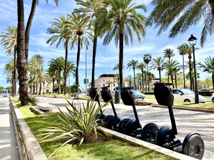 Mallorca: 2.5 H Sightseeing Segway Tour with Local Guide - What You Actually Get With the Guide (and Why It Changes Everything)