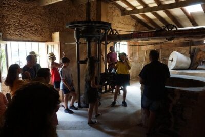 Mallorca: 5-hours Hidden Marvels Tour - Monestir de Miramar: old mill + Archduke’s house + cliffside Byzantine gardens