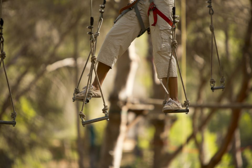 Mallorca: Adrenaline Tree Top Adventure Entry Ticket - Jungle Parc Mallorca in Santa Ponsa: what kind of adventure this really is