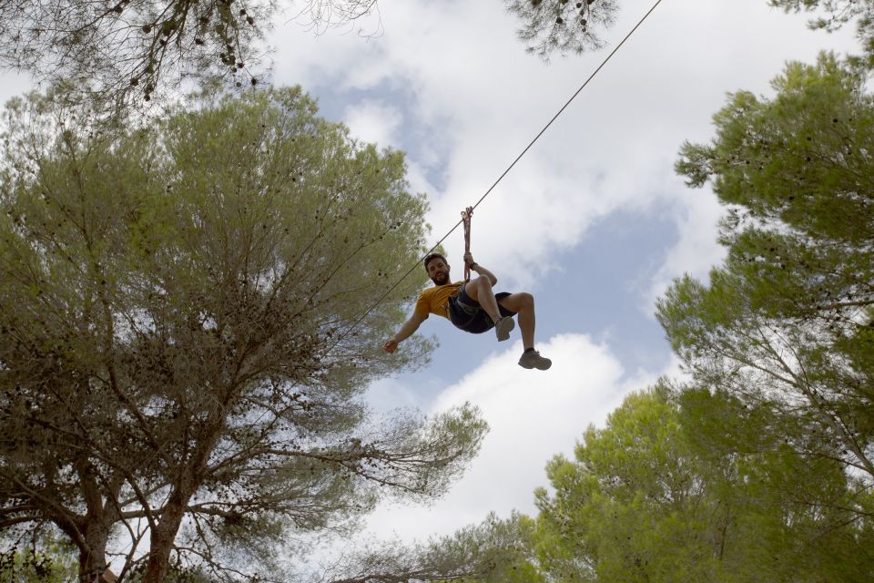 Mallorca: Adrenaline Tree Top Adventure Entry Ticket - The training and safety setup that make or break the experience