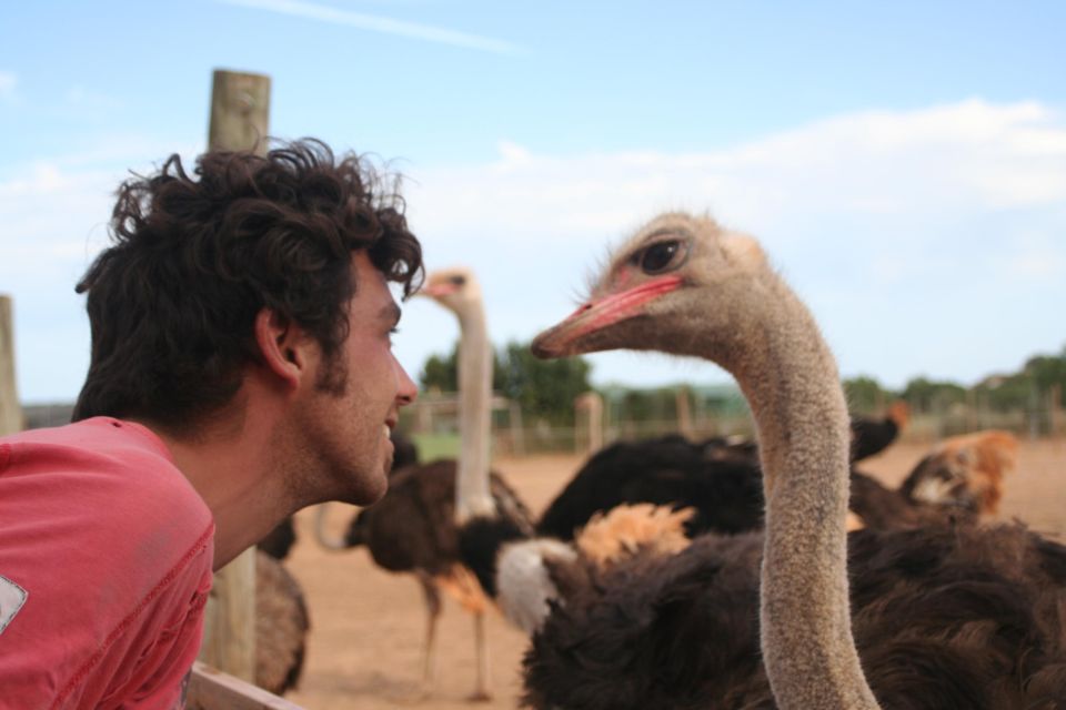 Mallorca: Artestruz - Ostrich Farm Ticket Entrance - What About the Egg-Shell Crafts? A Small Souvenir With Real Meaning