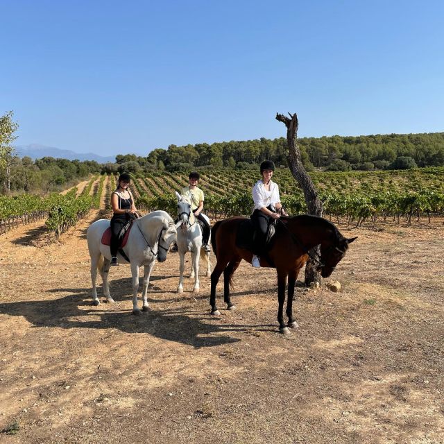 Mallorca: Authentic Horseback Ride in Rural Mallorca - Before You Ride: Welcome, Helmet, and Arena Coaching