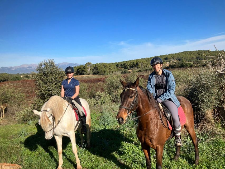 Mallorca: Authentic Horseback Ride in Rural Mallorca - Randa Valley Trails: Holm Oak Groves to Almond and Olive Open Areas