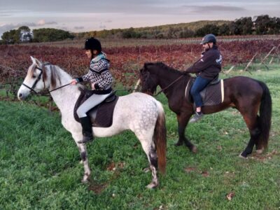 Mallorca: Authentic Horseback Ride in Rural Mallorca - Andalusian Horses Matched to Your Level
