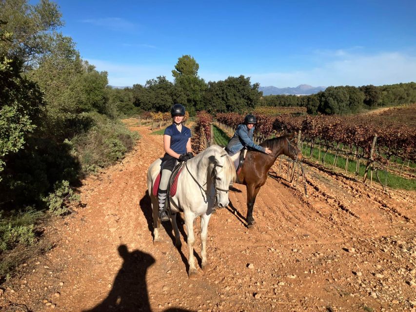 Mallorca: Authentic Horseback Ride in Rural Mallorca - Price and Value: What $177 Buys for 4 Hours in Mallorca