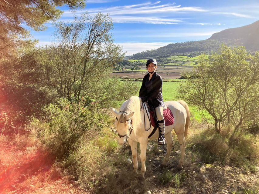 Mallorca: Authentic Horseback Ride in Rural Mallorca - Should You Book Antigua Mallorca or Skip It?