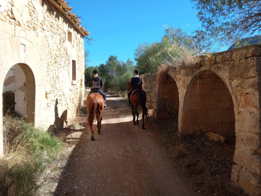 Mallorca: Authentic Horseback Ride in Rural Mallorca - FAQ
