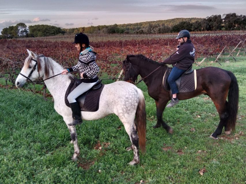 Mallorca: Authentic Horseback Ride in Rural Mallorca - Andalusian Horses Matched to Your Level