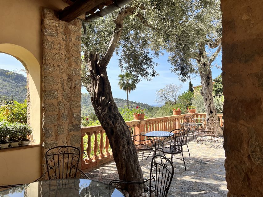 Mallorca Beyond the Guidebooks - Tour with the famous Author - Key highlights to look for