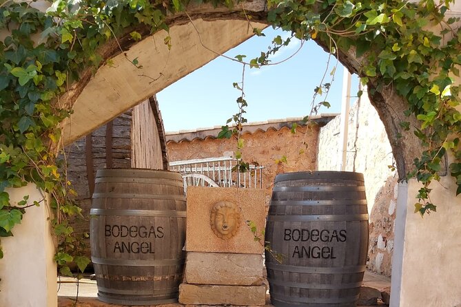 Mallorca Bodega & Olive Minibus Tour incl. Pick-up South Coast - Santa Maria del Cami olive oil finca and the oil tasting that teaches