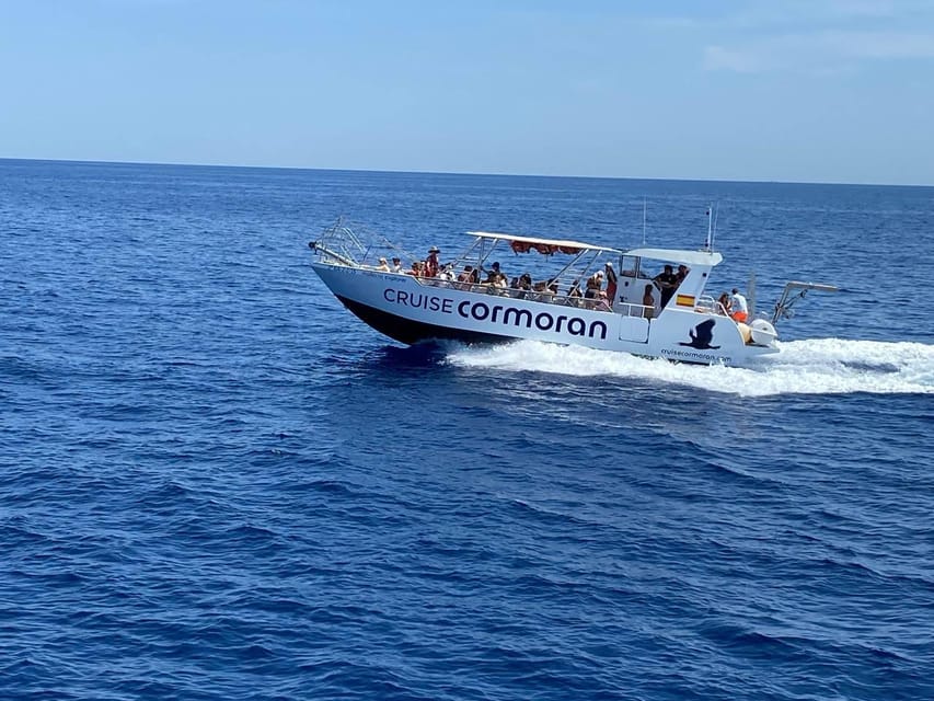 Mallorca: Caves, Cliffs, and Coves Boat Trip - Your Swim and Snorkel Stop: Make the Most of the Clear Water