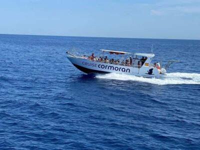 Mallorca: Caves, Cliffs, and Coves Boat Trip - The 2.5 Hours Along Mallorca’s Southwest: Coves, Cliffs, and Cave Views