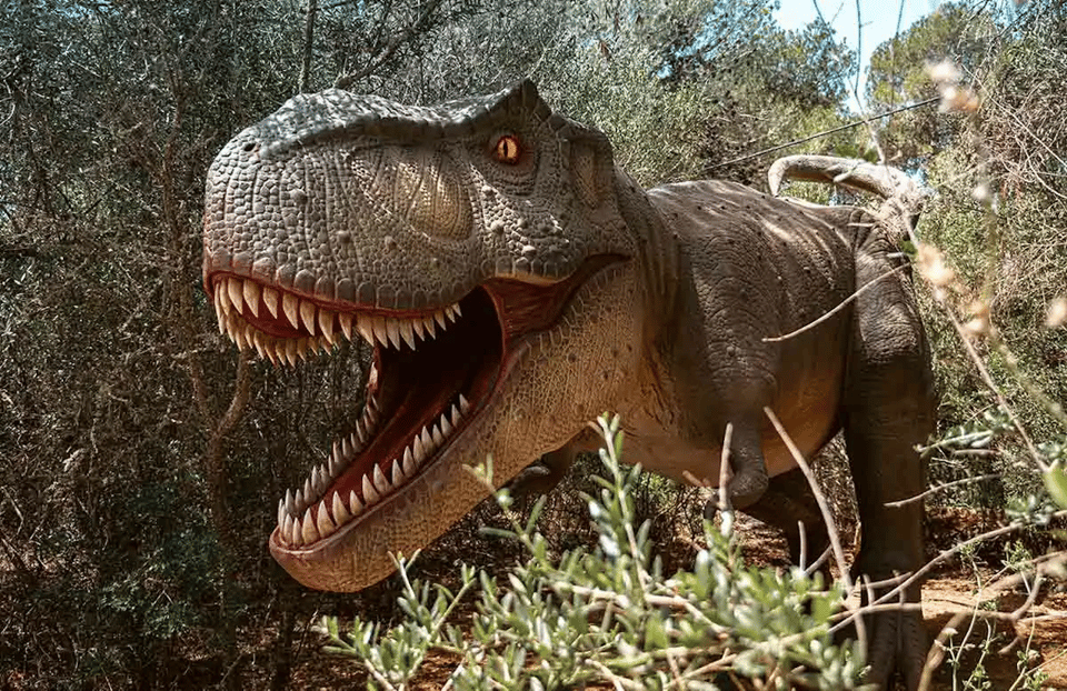 Mallorca: Dinosaurland Park, Hams Caves & Porto Cristo Tour - Key highlights to know before you go