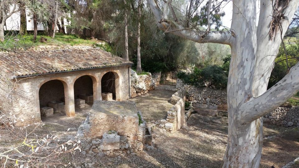 Mallorca: Discovering 5 Charming Villages of Mallorca - Algaida: your first taste of the island’s village rhythm