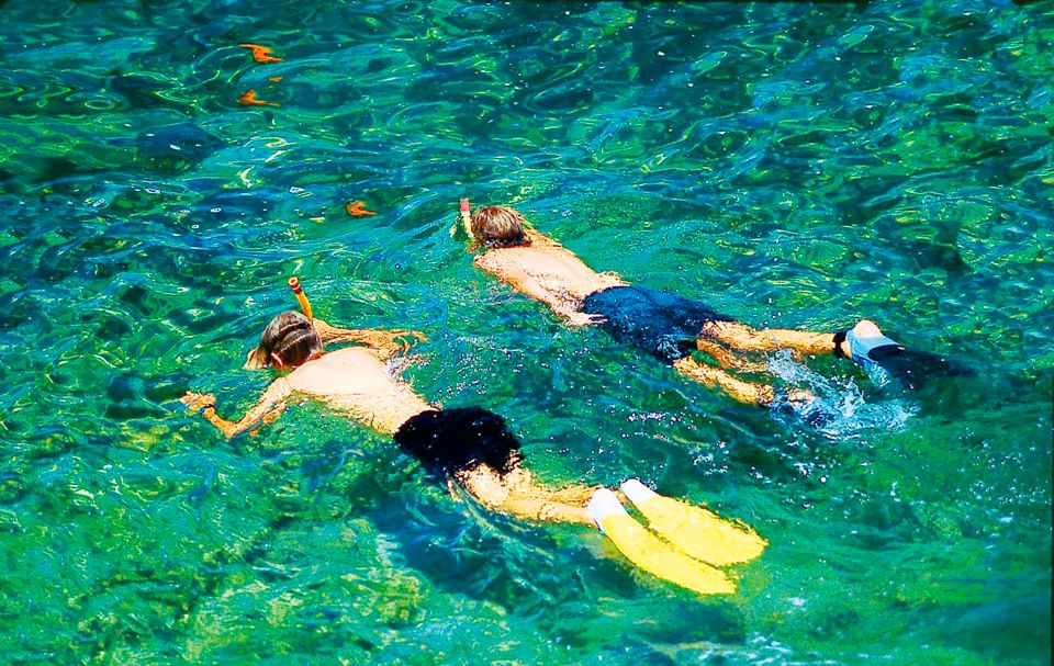 Mallorca: Dolphin Watching Cruise - The swim stop and snorkeling gear you’ll actually use
