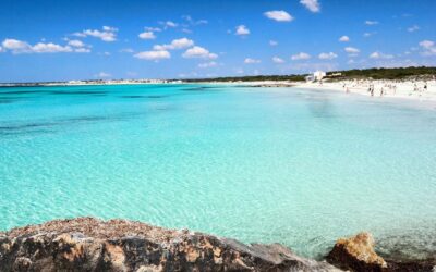 Mallorca Experinence: Es Trenc con Paddlesurf y Snorkel - Pickup across Mallorca’s south and west coast