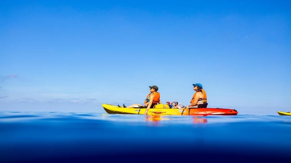Mallorca: Explore the Island Dragonera with the kayak - Who should book this kayak to Dragonera