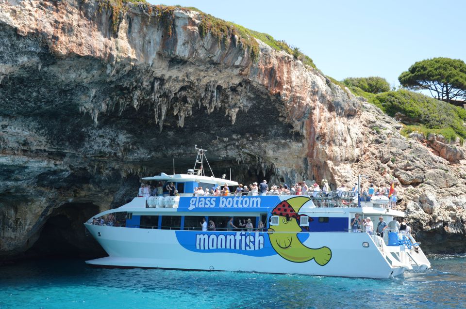 Mallorca: Glass-Bottom Catamaran Along the East Coast - Glass-bottom viewing: the fish-and-water moment you’re paying for