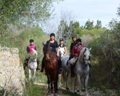 Mallorca: Guided Horseriding Tour of Randa Valley - Meeting the Andalusians: matching, grooming, and feeling in sync