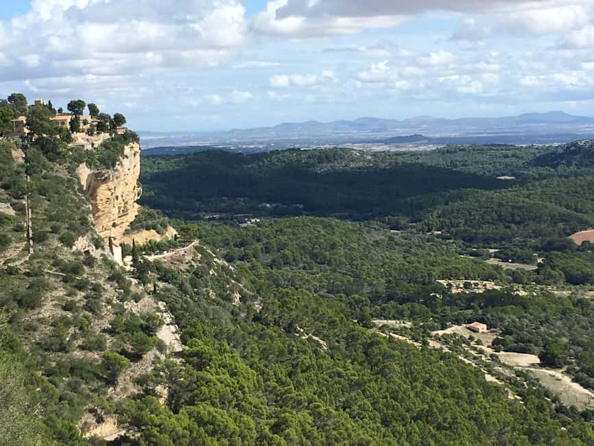 Mallorca hiking tour "Castell d'Alaró" - The hike: pine shade, holm oaks, and the stone steps that add character