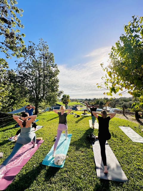 Mallorca: Holistic Private Yoga and Meditation Retreat - Key Highlights Worth Prioritizing