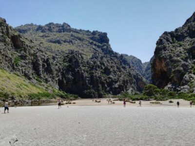Mallorca: Island Tour with Boat, Train, and Hotel Transfer - Palma to Sóller by Vintage Train: The Classic Start