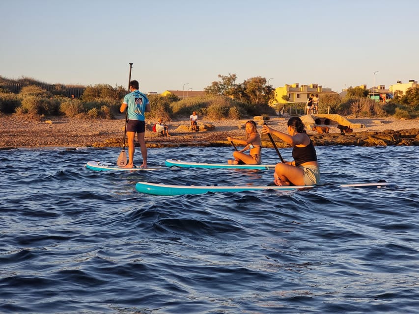 Mallorca: Kayak Sunset Tour from Ca'n Pastilla Beach - Meeting Point at BonaOna Surf School: Small Tips That Make It Smoother