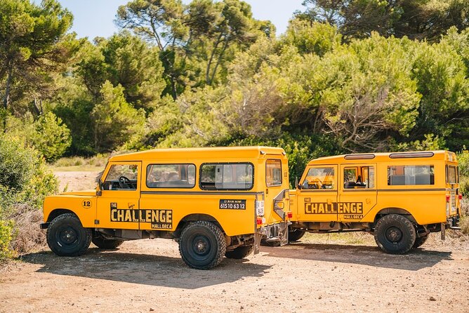 Mallorca: Kayaking, Sea Cave, Cliff Jumping & Snorkel Tour - Getting To Alcúdia by Yellow Fun-Bus (and why your timing matters)