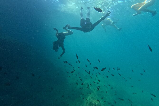 Mallorca: Kayaking, Sea Cave, Cliff Jumping & Snorkel Tour - Price and value: what $80 buys you (and why it’s more than a single activity)