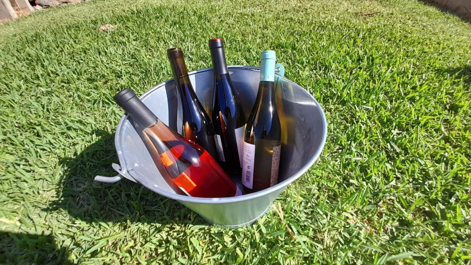Mallorca: Local Wines & Foods Tasting - Beyond wine: olive oil, jams, and pâtés that broaden the palate