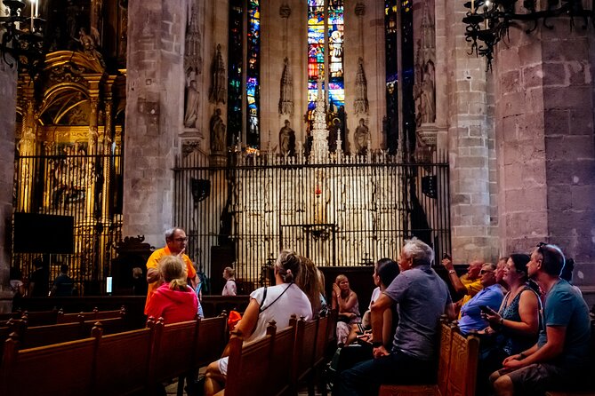 Mallorca Old Town Walking Tour with Cathedral Skip The Line Tour - S’hort del Rei (Kings Gardens): a calm pocket under the palace