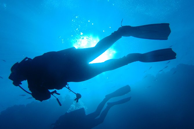 Mallorca: Open Water Diver Course - Key Highlights You’ll Feel Quickly