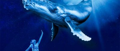 Mallorca: Palma Aquarium Entry Ticket w/ Optional 3D Cinema - Big Blue: The Deepest Shark Tank Moment