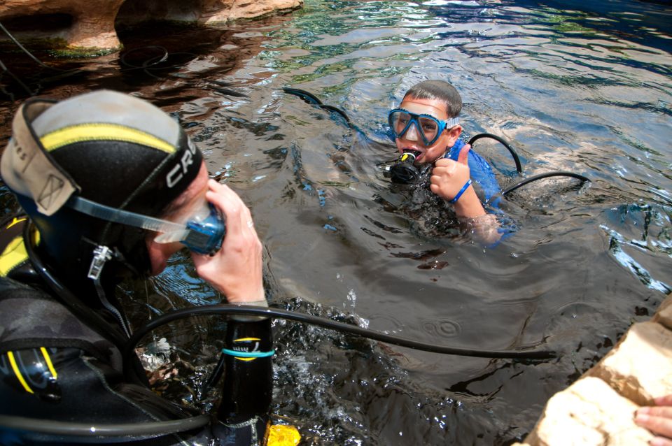 Mallorca: Palma Aquarium Tickets with Transfer - Who this tour is best for