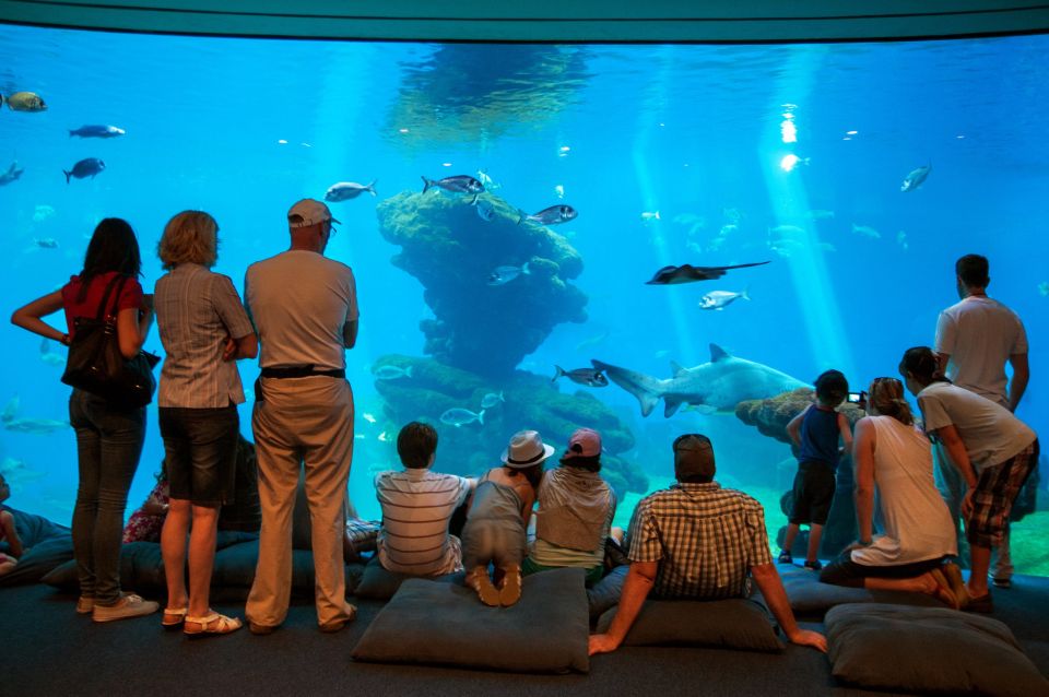 Mallorca: Palma Aquarium Tickets with Transfer - Big Blue at Palma Aquarium: the wow factor you’ll plan around