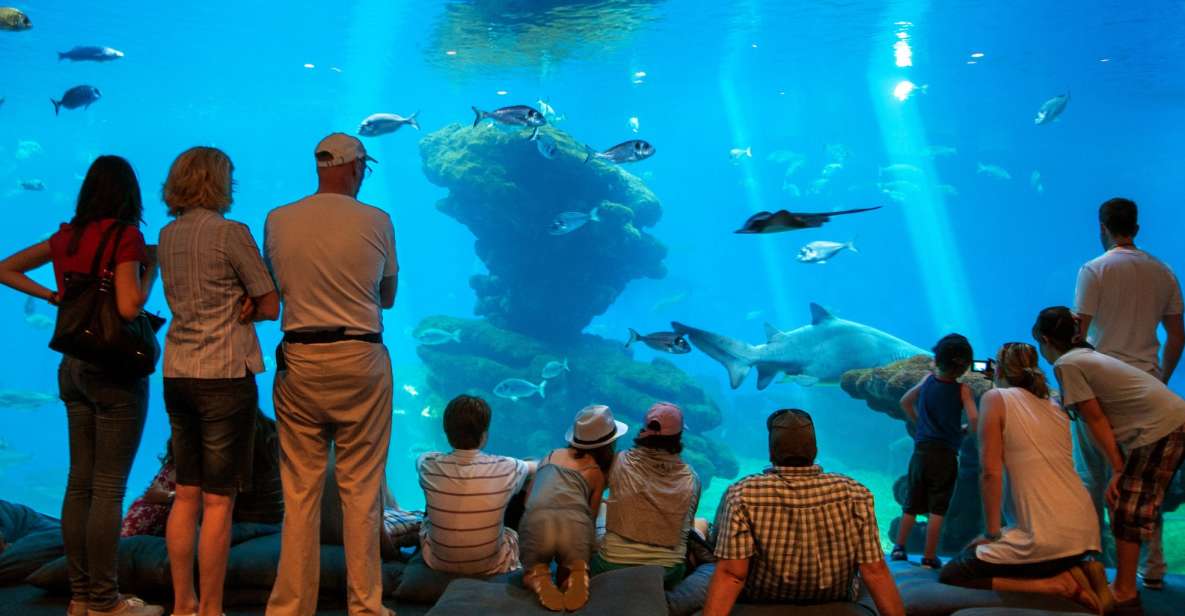 Mallorca: Palma Aquarium Tickets with Transfer - Your aquarium route: Old World, New World, Jungle, and Mediterranean Gardens