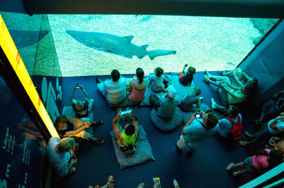 Mallorca: Palma Aquarium Tickets with Transfer - Big Blue and the “Europe’s deepest” viewing experience