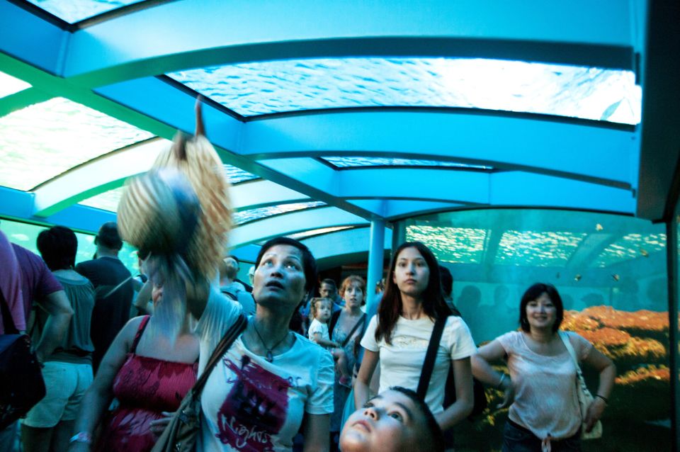 Mallorca: Palma Aquarium Tickets with Transfer - Value and money math: what $55 covers (and what you’ll add)